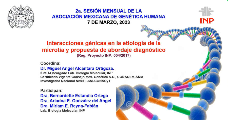 Interacciones génicas en la etiología de la microtia y propuesta de abordaje diagnóstico
